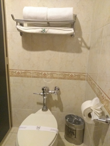 Bathroom 3, Hotel Jimenez Plaza, Jiménez