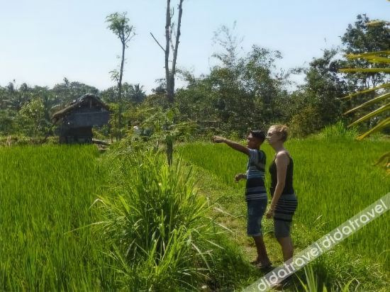 Others 4, Kembang Kuning Cottages, Lombok