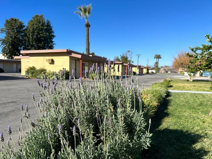 Others 4, Royal Inn & Suites, Riverside