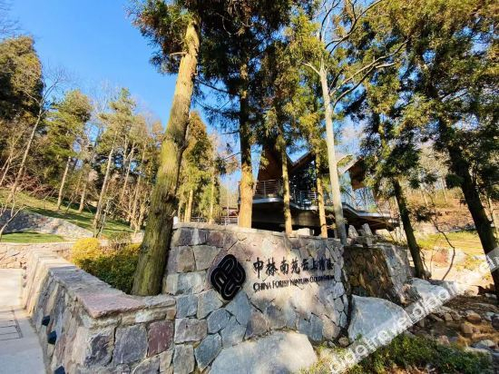 Others 4, China Forest Nanyuan Clouds Stream, Ningbo