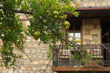 Others 5, PluVia Boutique Hotel, Ayvacık