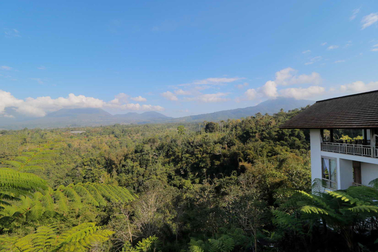 Others 3, The Bejalin Eco Retreat, Tabanan