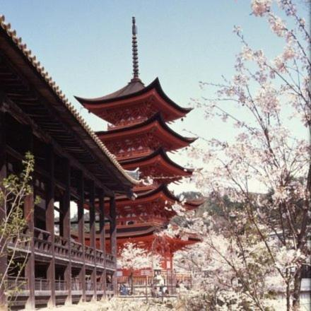 Others 4, Full House Miyajima, Hatsukaichi