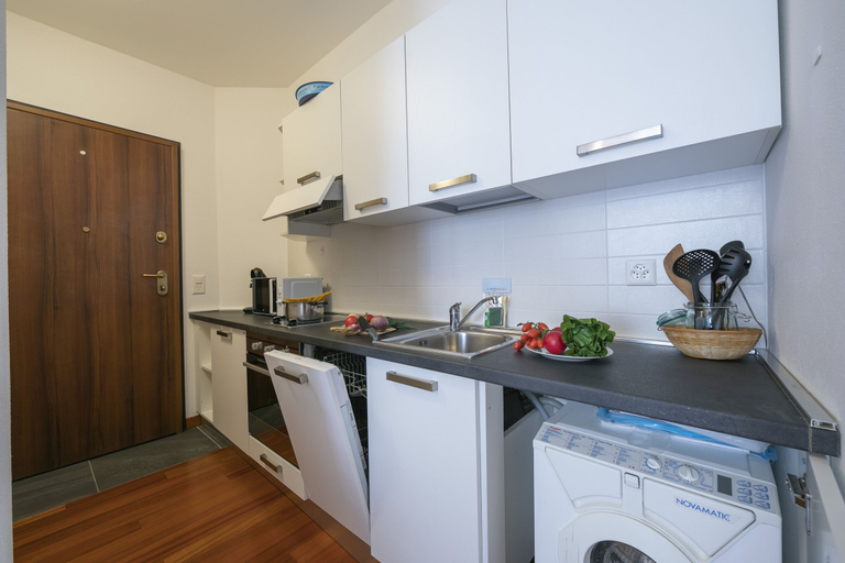 Others 5, Sunlight - 150m from the lake - Happy Rentals, Lugano