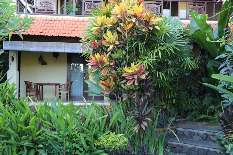 Others 5, Alamanda Lovina, Buleleng