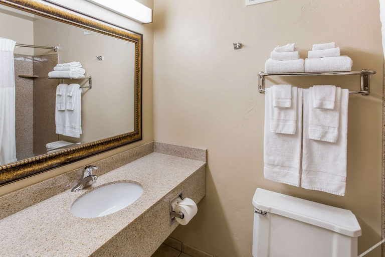 Bathroom 4, Quality Inn & Suites Green Bay Downtown, Brown