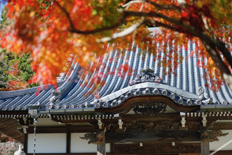 Exterior & Views 1, Temple Hotel Takeibo, Minobu