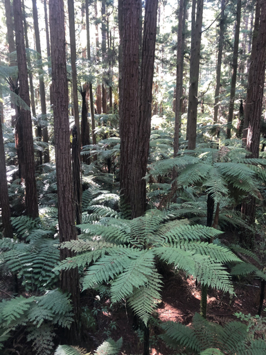 Others 3, VacationStay on Lake Rd, Rotorua