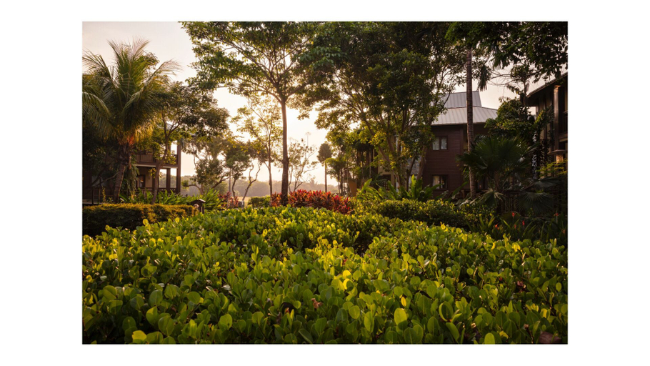 Property grounds 3, Indura Blue, Tela