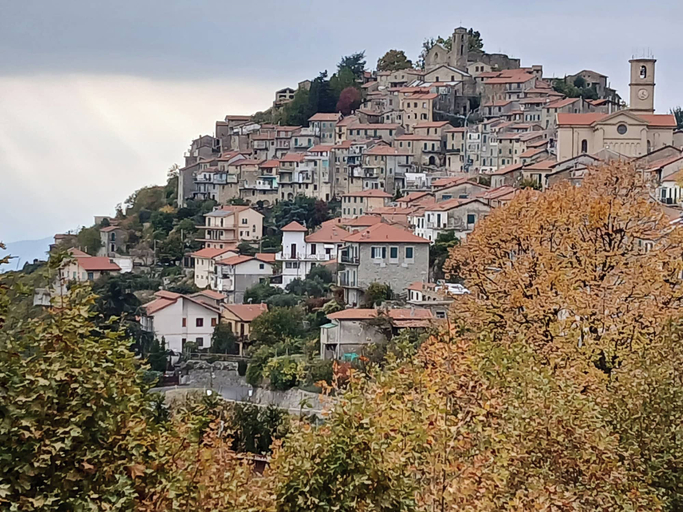Primary image