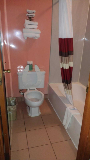 Bathroom 4, Stones Motel, Spencer
