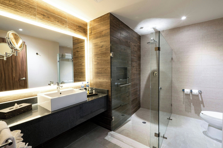 Bathroom 4, Delta Hotels by Marriott Riviera Veracruz, Boca del Río
