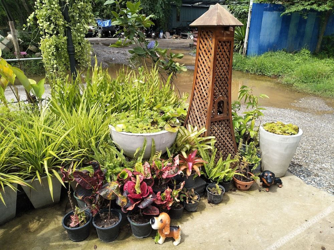 Others 4, Rossarin Garden Resort 2, Kaeng Khoi