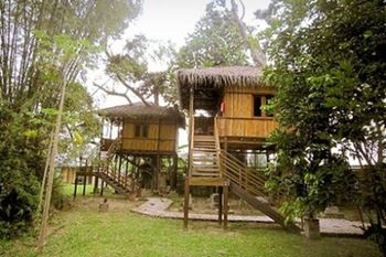 Others 5, The Roots Eco Resort, Kinta