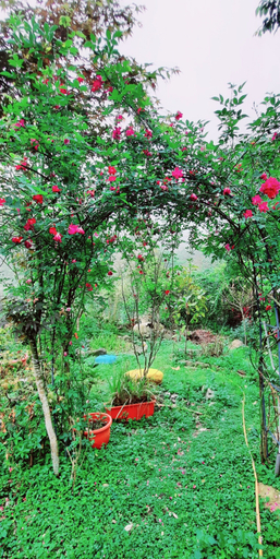 Exterior & Views 2, Nasun bed and breakfast, Hsinchu County