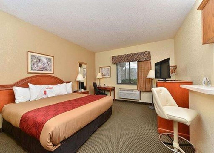 Bedroom 2, Express Inn & Suites, Adams
