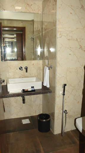 Bathroom, Hotel Lake Vinora, Ajmer