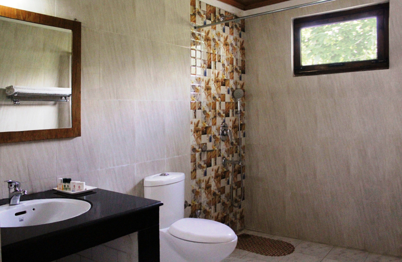 Bathroom 4, Hotel Caravan Centre, Leh