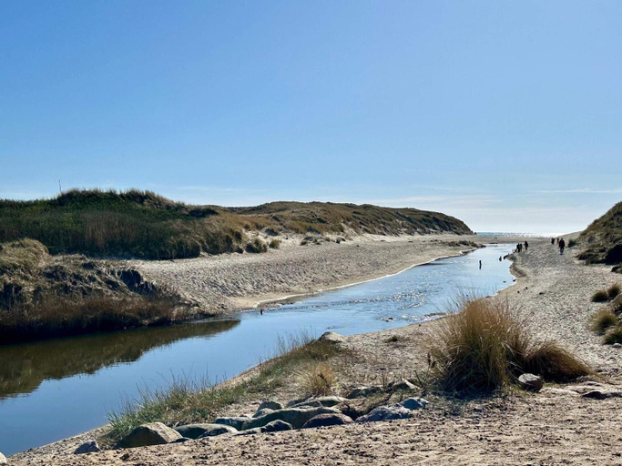 Others 4, star holiday home in Henne, Varde