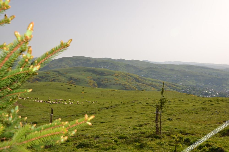 Others 5, Belen Yayla Otel, Niksar