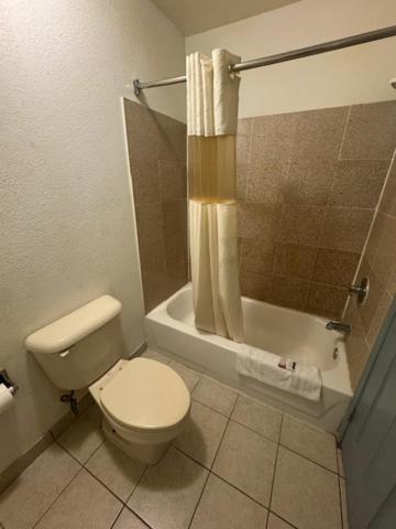 Bathroom 4, Budget Host Inn, Saline