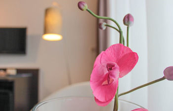 Others 2, Palace Hotel Zandvoort, Zandvoort