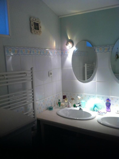 Bathroom 5, A L'Antan - La Ferme D'Octave, Charente-Maritime