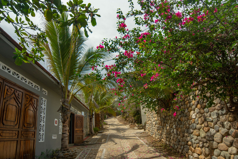 Exterior & Views 1, Villa Aikia Adults Only, Dist. Pochutla