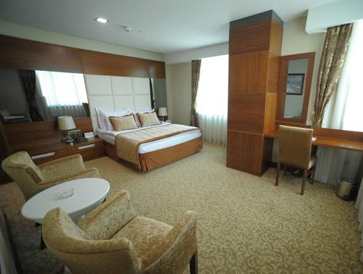 Others 2, VIVALDI CE GOLD HOTEL, Çankaya