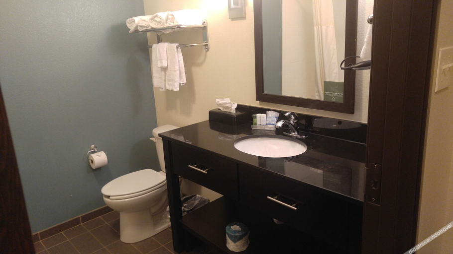 Bathroom 3, Wingate by Wyndham Longview North, Gregg