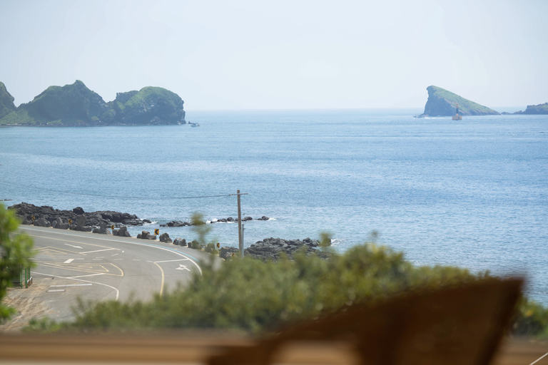 Others 4, Jeju Backpaecus Villa, Jeju