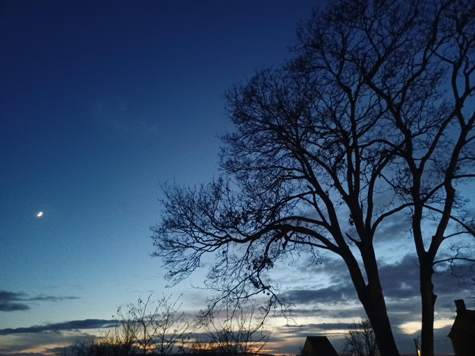 Others 5, LE VERGER, Yvelines