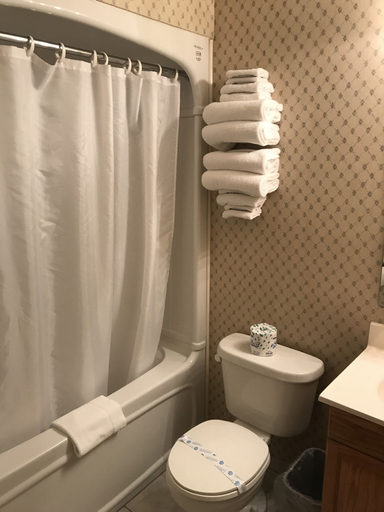 Bathroom 3, Country Inn Listowel, Perth