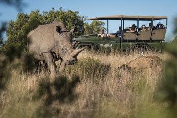 Others 3, Shamwari Riverdene, Cacadu