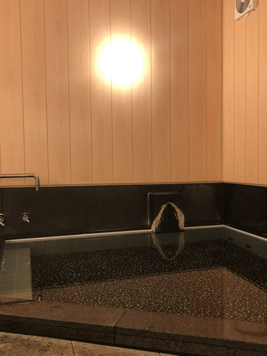 Bathroom, ぎん月, Shimosuwa