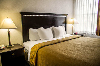 Guestroom 5, Quality Inn & Suites North, Richland