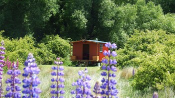 Others 5, Dunstan Downs High Country Sheep Station, Waitaki