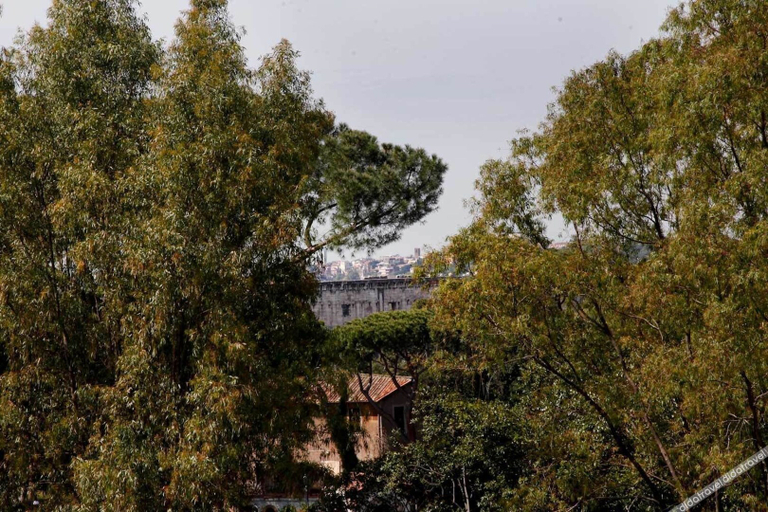 Others 5, Clemy In Rome, Rome