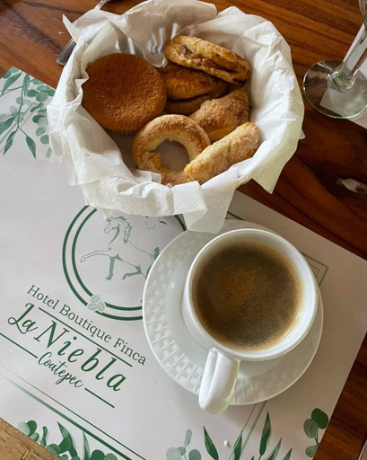 Food & Drinks 4, Hotel Boutique Finca de la Niebla Coatepec, Xico