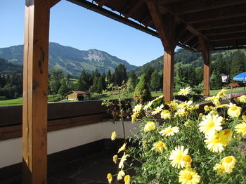 Others 2, Berg- und Aktivhotel Edelsberg, Oberallgäu