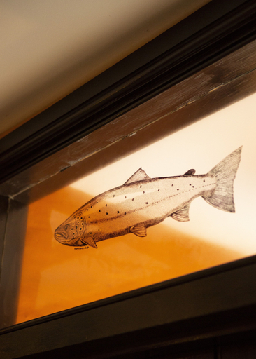 Others 4, The Leaping Salmon, Devon