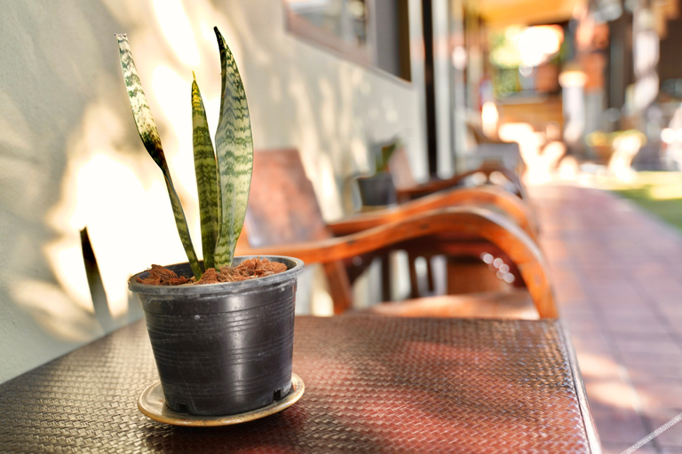 Food & Drinks 3, Elegant Lanna, Muang Chiang Mai