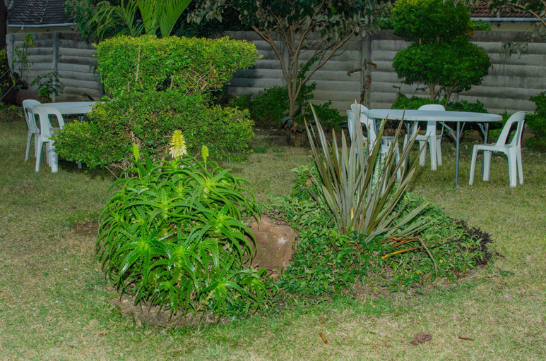 Terrace or patio 3, Graceland Guesthouse, Harare