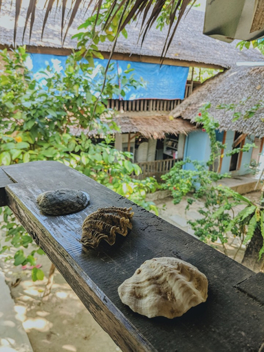 Others 2, Jing's Place Homestay Siargao, General Luna