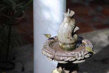 Others 2, Hotel Jovel, San Cristóbal de las Casas