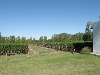 Garden 4, Postales Finca & Bodega by DOT Boutique, Tunuyán