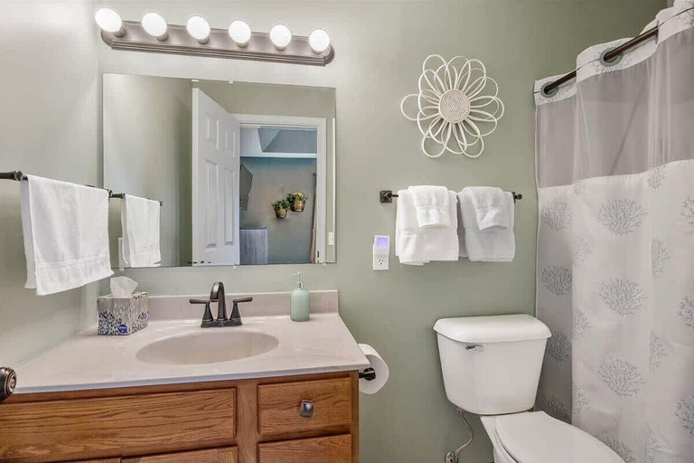 Bathroom 3, Sleeps 26 Lakefront w/ Private Dock & Dance Floor!, Miller