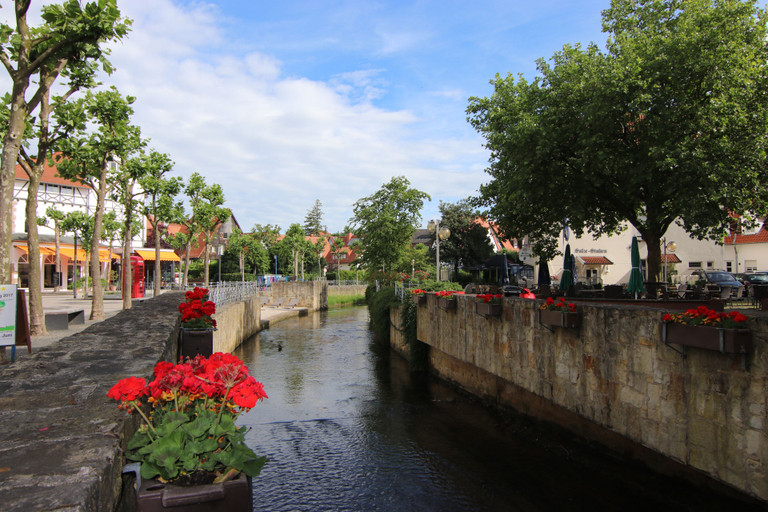 Others 4, Hotel Arminius, Lippe