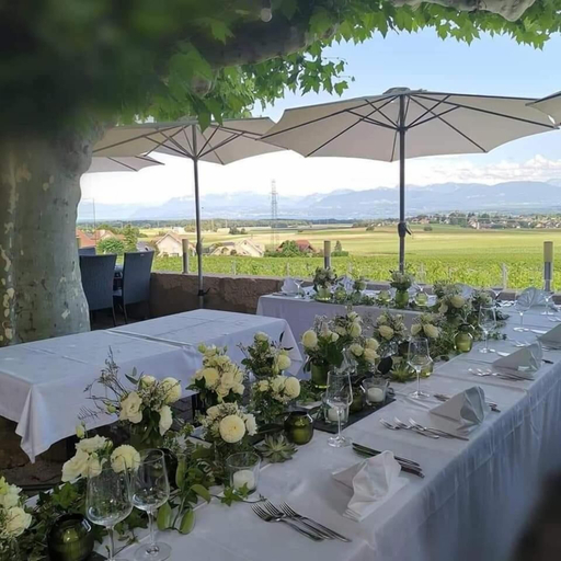 Food & Drinks 5, Auberge de Duillier, Nyon