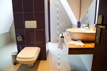Others 2, Paj Hotelul Retreat & Spa, Sinaia